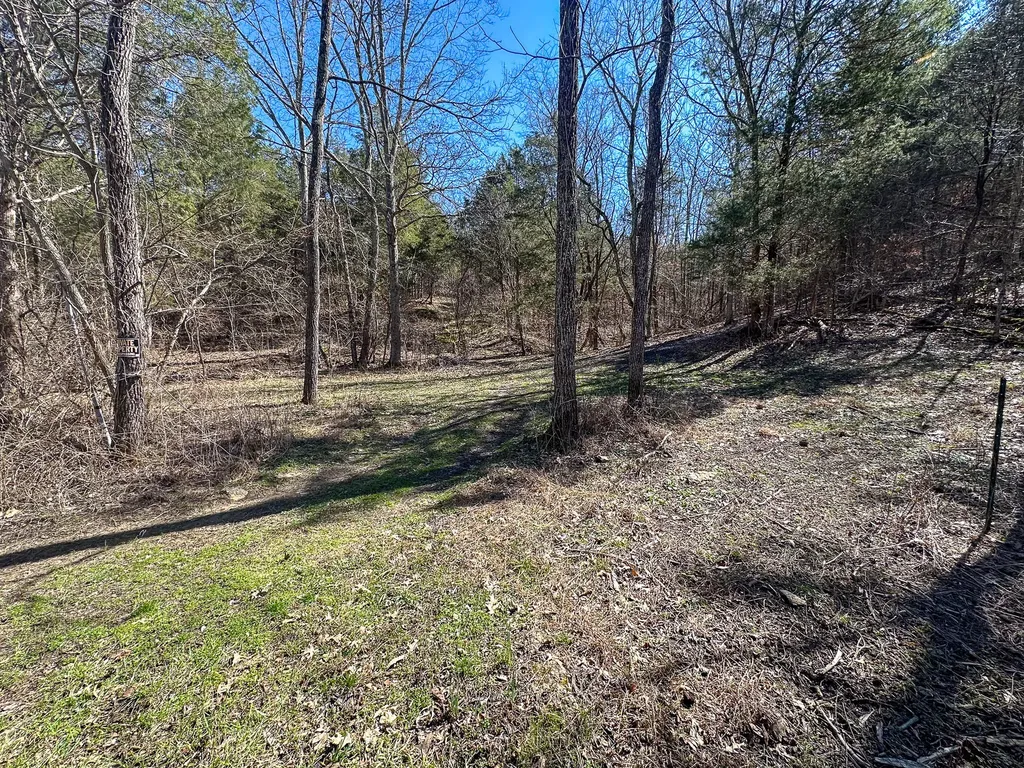 00 Fork Lick Road Corinth KY 41010