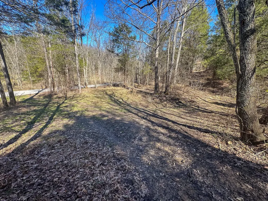 00 Fork Lick Road Corinth KY 41010