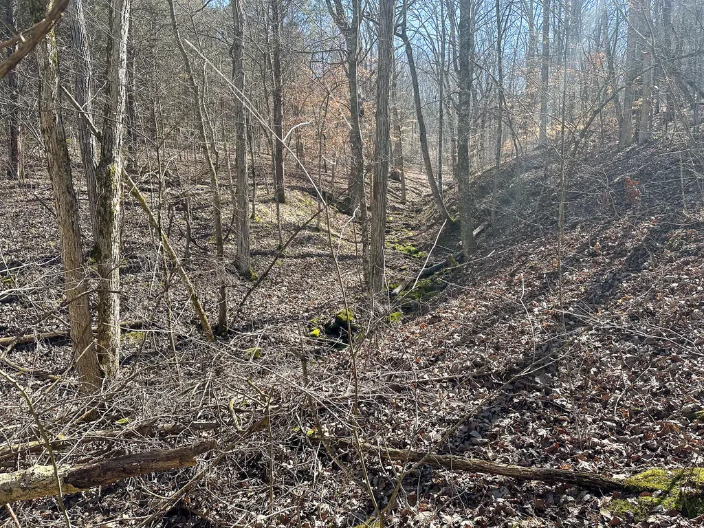 00 Fork Lick Road Corinth KY 41010