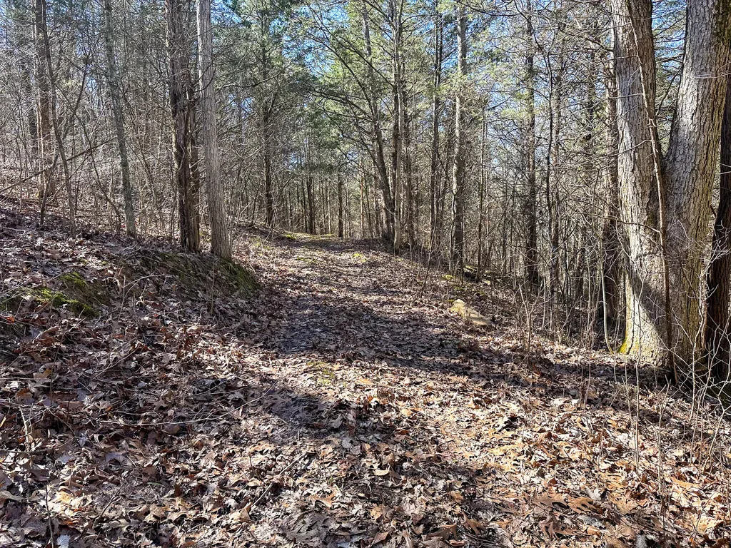 00 Fork Lick Road Corinth KY 41010
