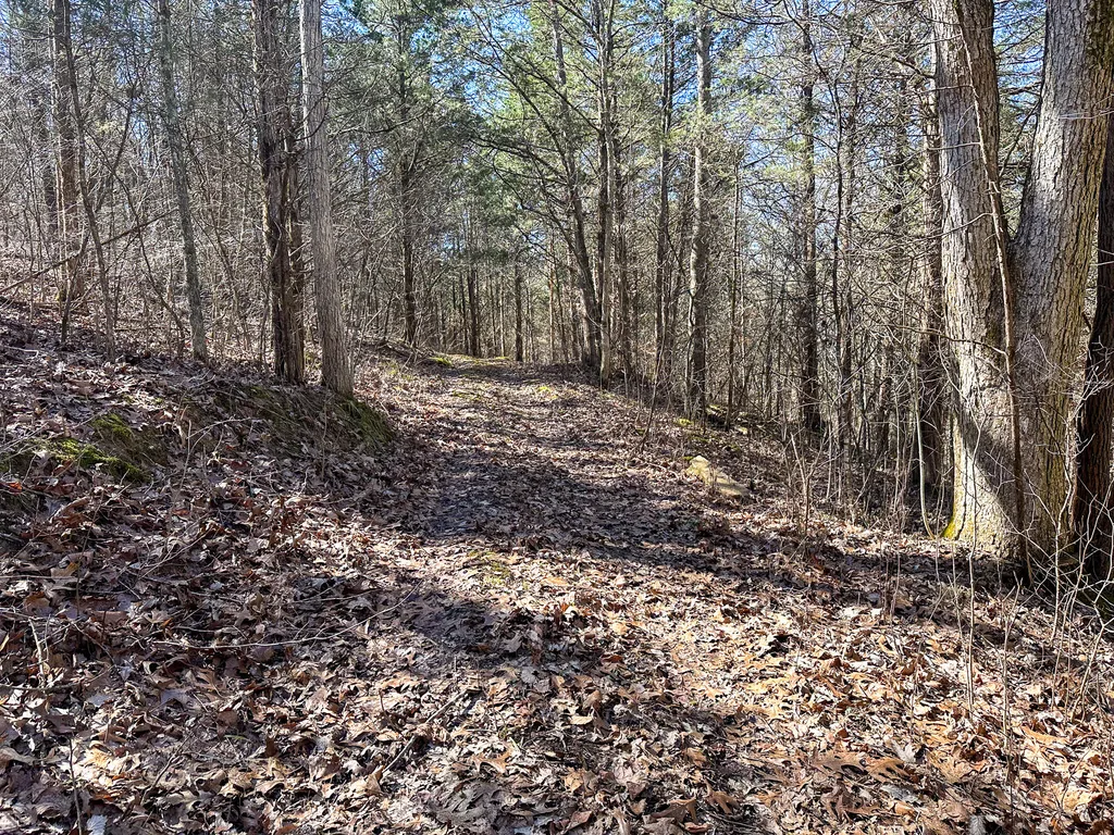 00 Fork Lick Road Corinth KY 41010