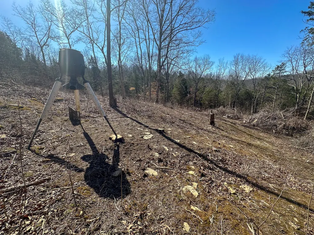 00 Fork Lick Road Corinth KY 41010