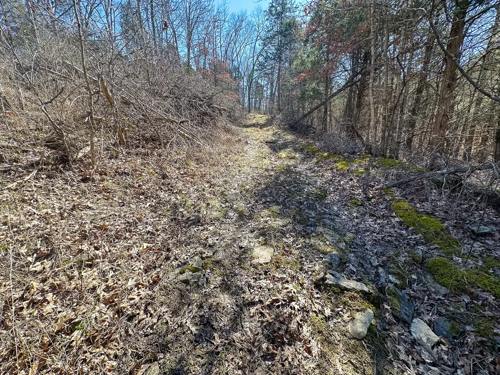 00 Fork Lick Road Corinth KY 41010
