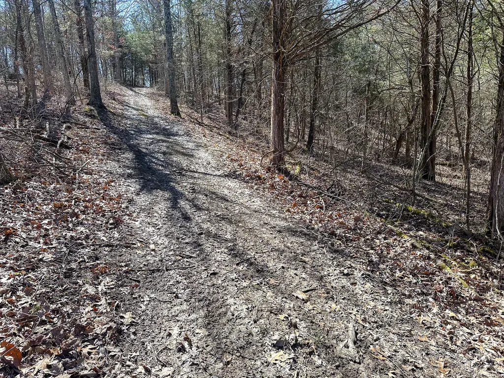 00 Fork Lick Road Corinth KY 41010