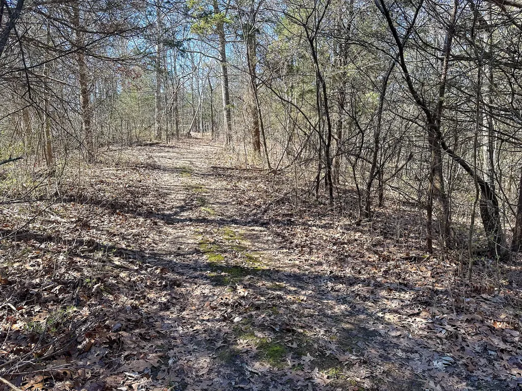 00 Fork Lick Road Corinth KY 41010