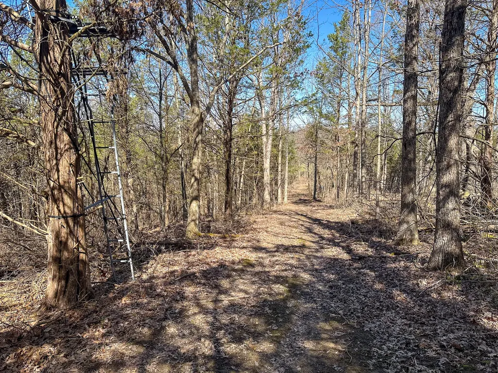 00 Fork Lick Road Corinth KY 41010