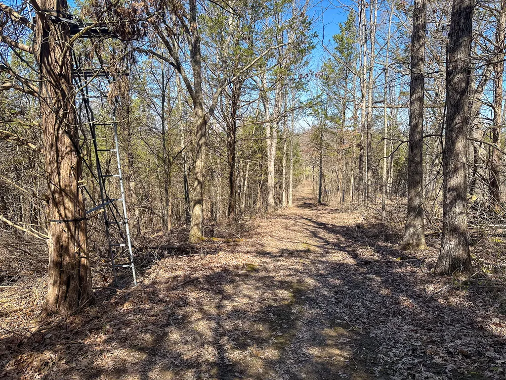 00 Fork Lick Road Corinth KY 41010