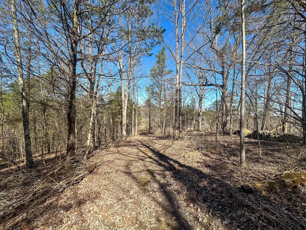 00 Fork Lick Road Corinth KY 41010