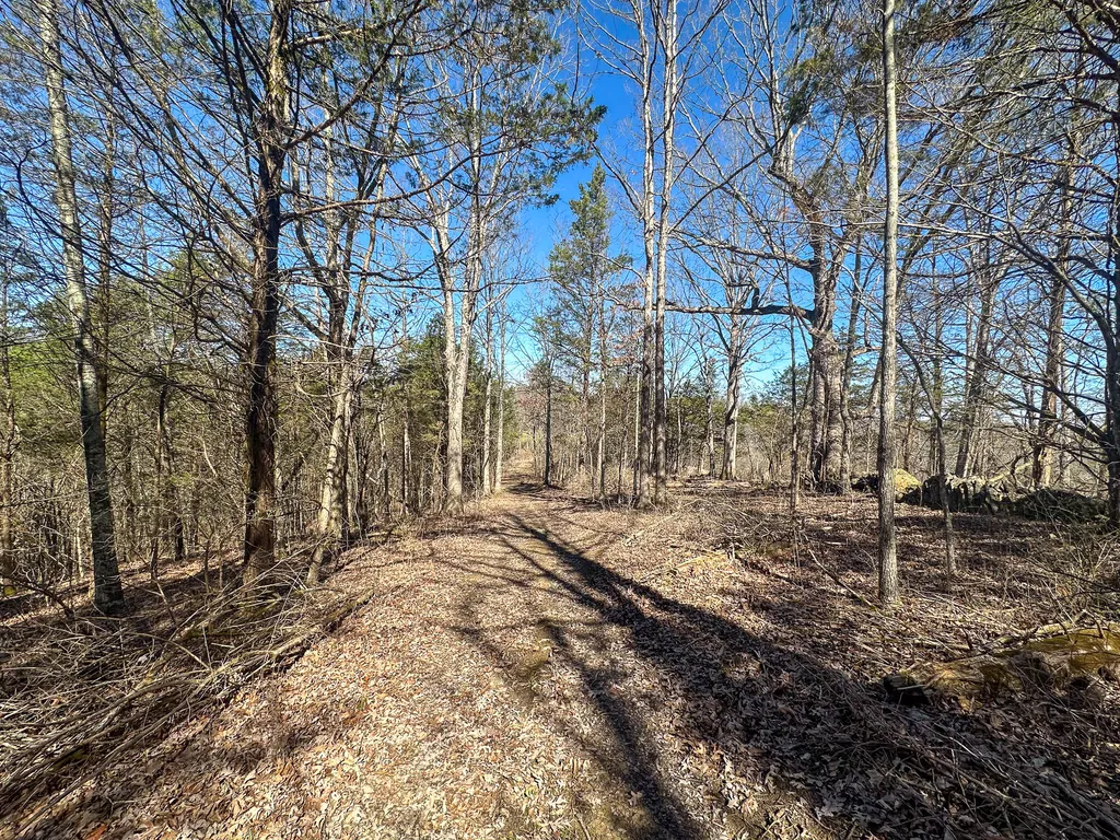 00 Fork Lick Road Corinth KY 41010