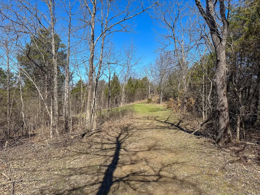 00 Fork Lick Road Corinth KY 41010