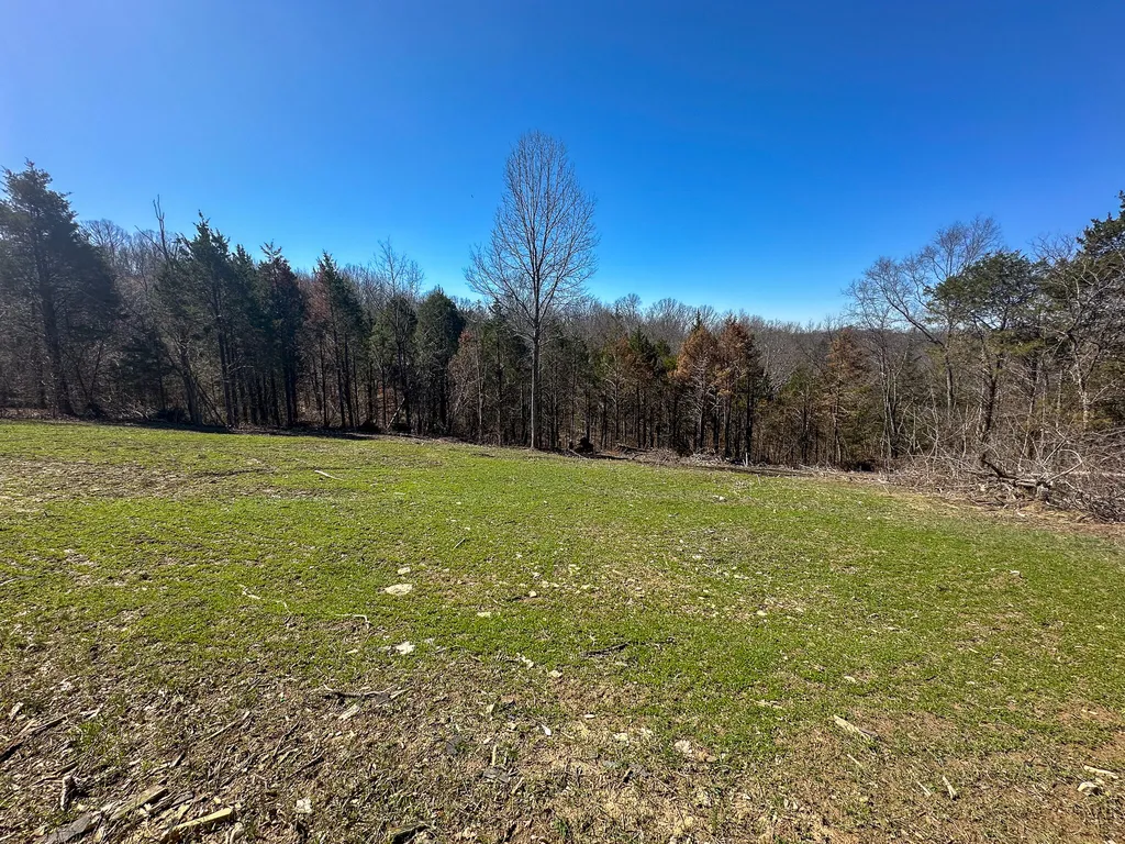 00 Fork Lick Road Corinth KY 41010