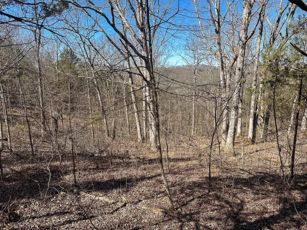 00 Fork Lick Road Corinth KY 41010