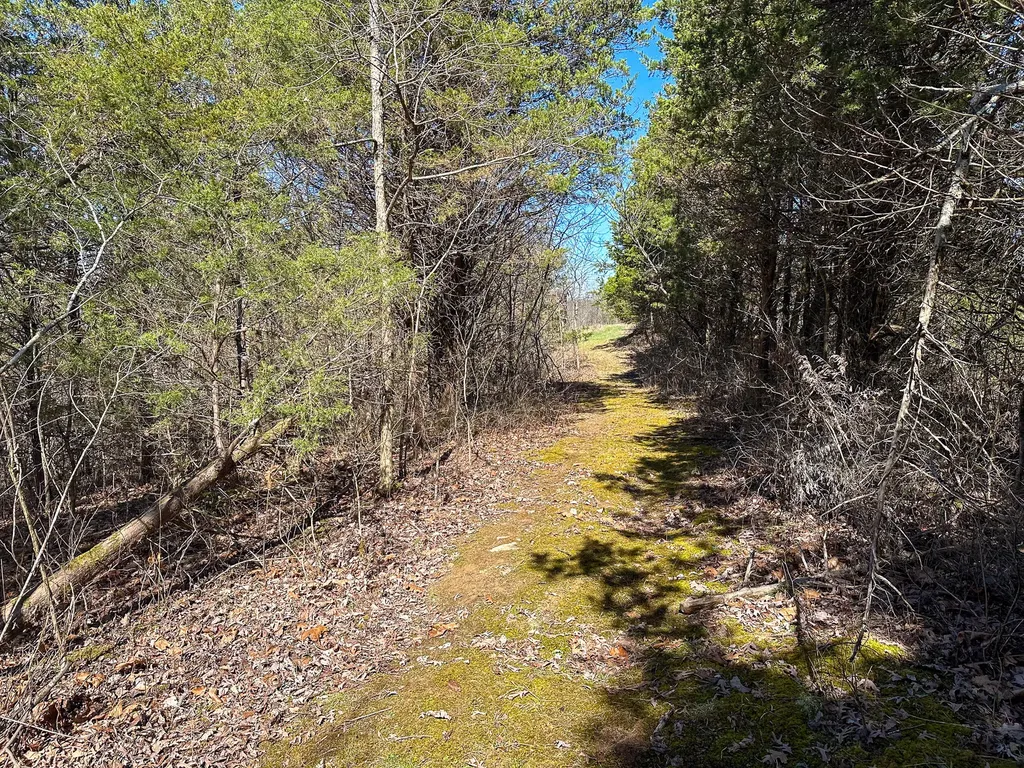 00 Fork Lick Road Corinth KY 41010