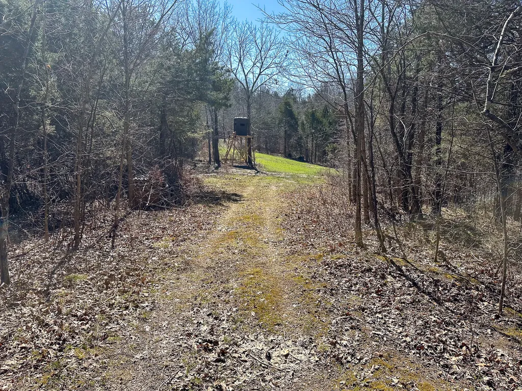 00 Fork Lick Road Corinth KY 41010