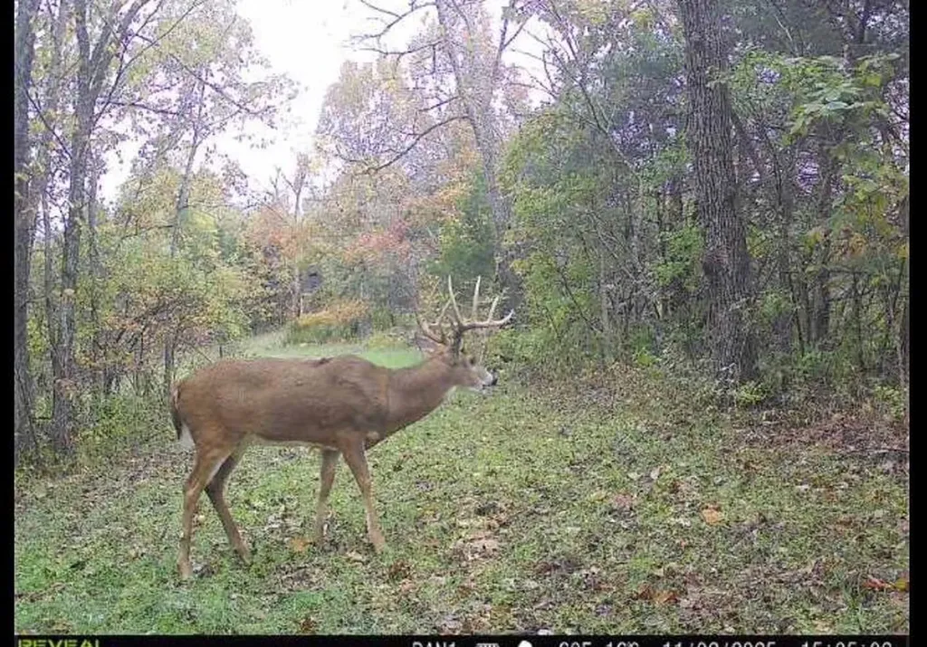 00 Fork Lick Road Corinth KY 41010