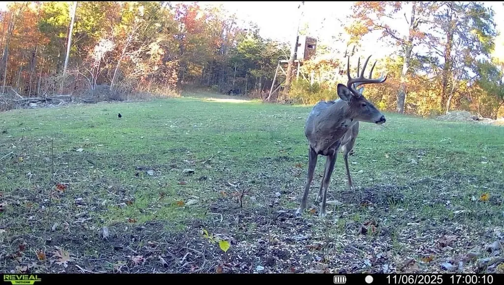 00 Fork Lick Road Corinth KY 41010