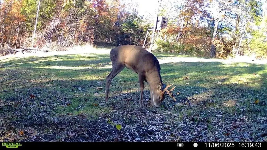 00 Fork Lick Road Corinth KY 41010