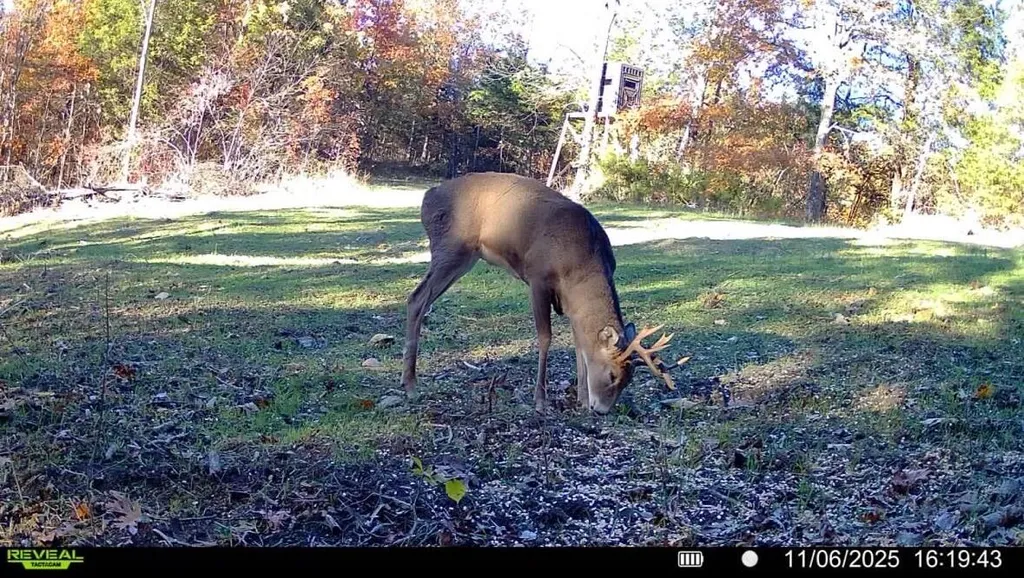 00 Fork Lick Road Corinth KY 41010