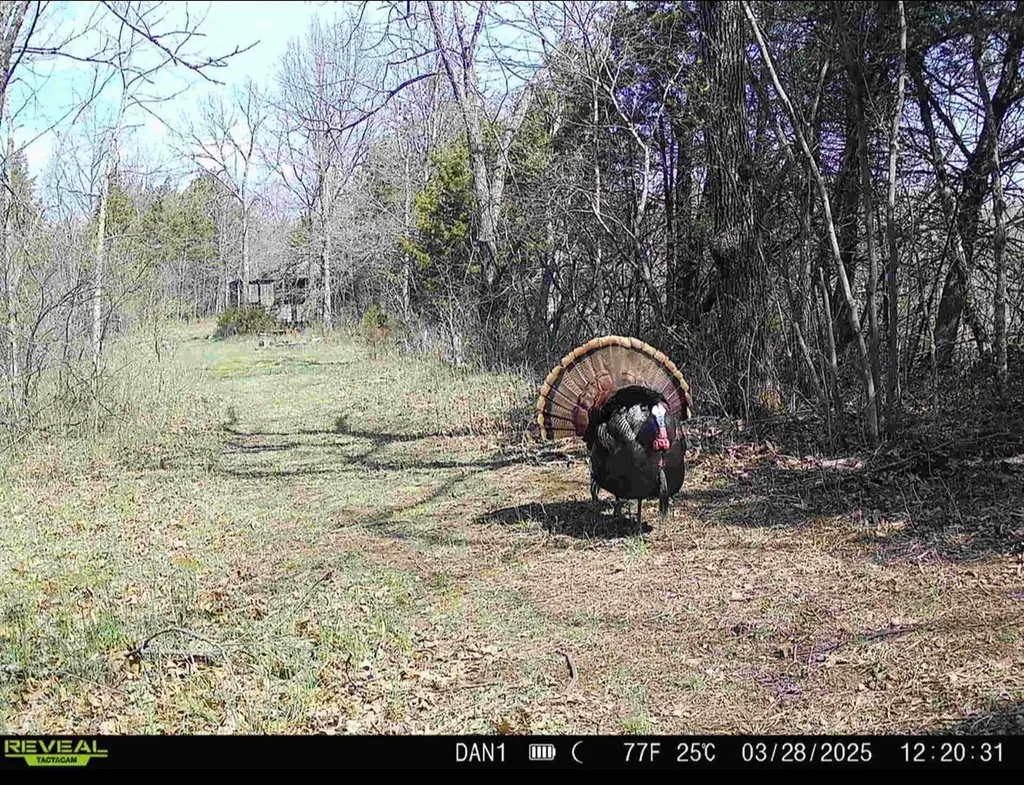 00 Fork Lick Road Corinth KY 41010