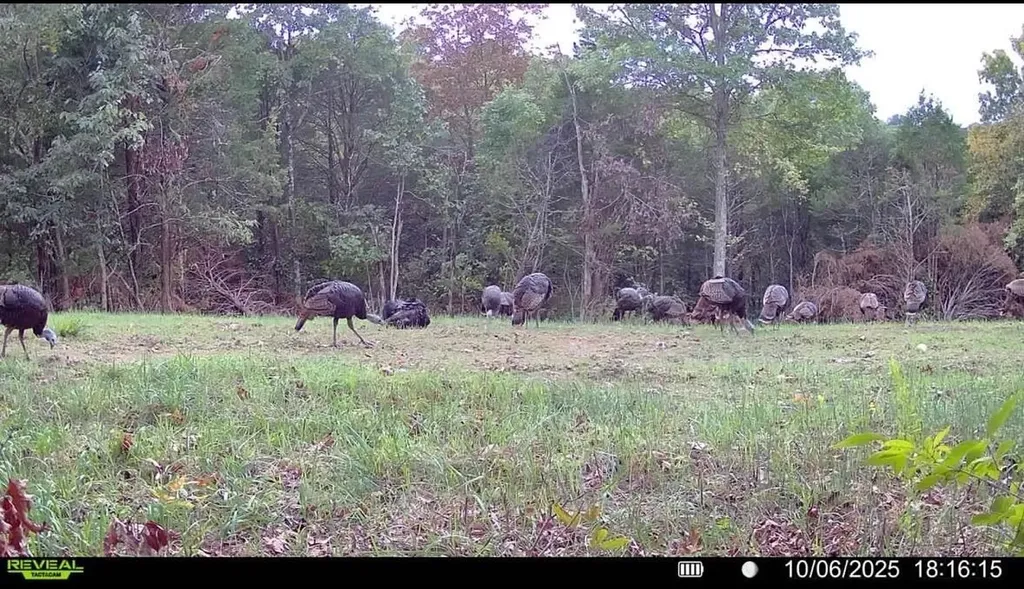 00 Fork Lick Road Corinth KY 41010