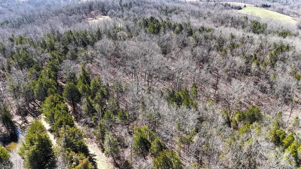 00 Fork Lick Road Corinth KY 41010