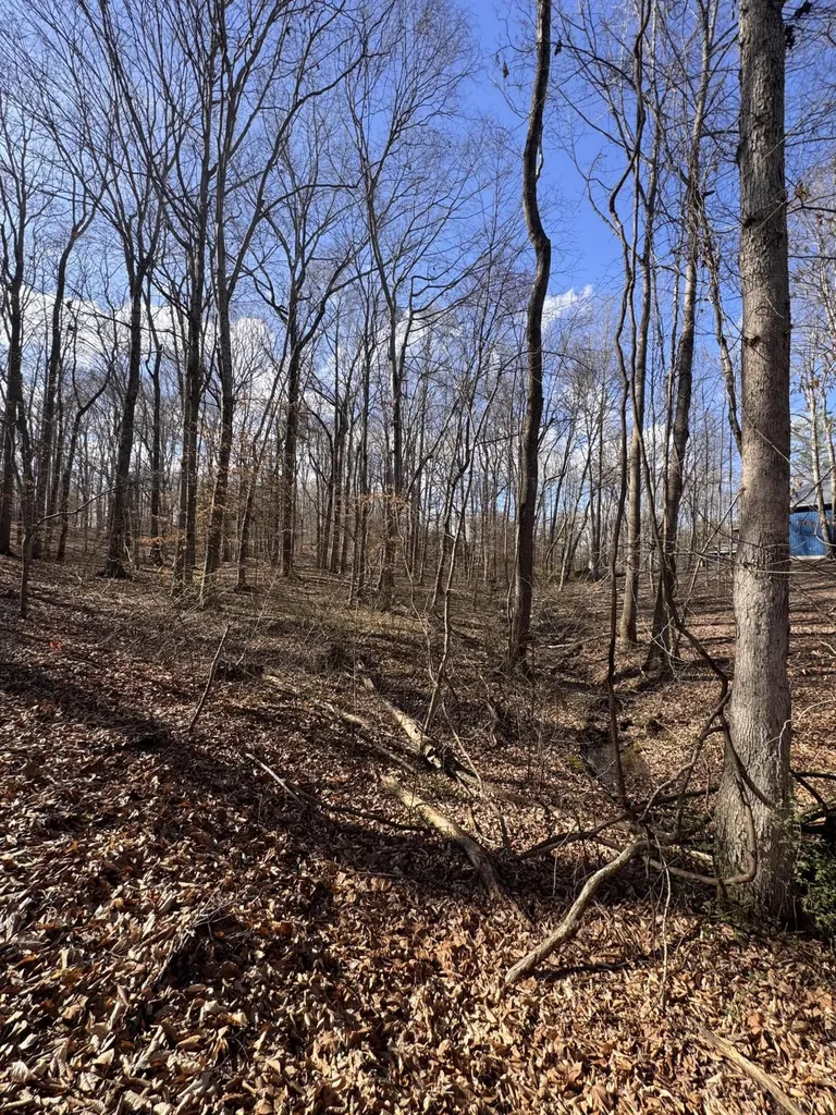 26 Arrowhead Lane Jamestown KY 42629
