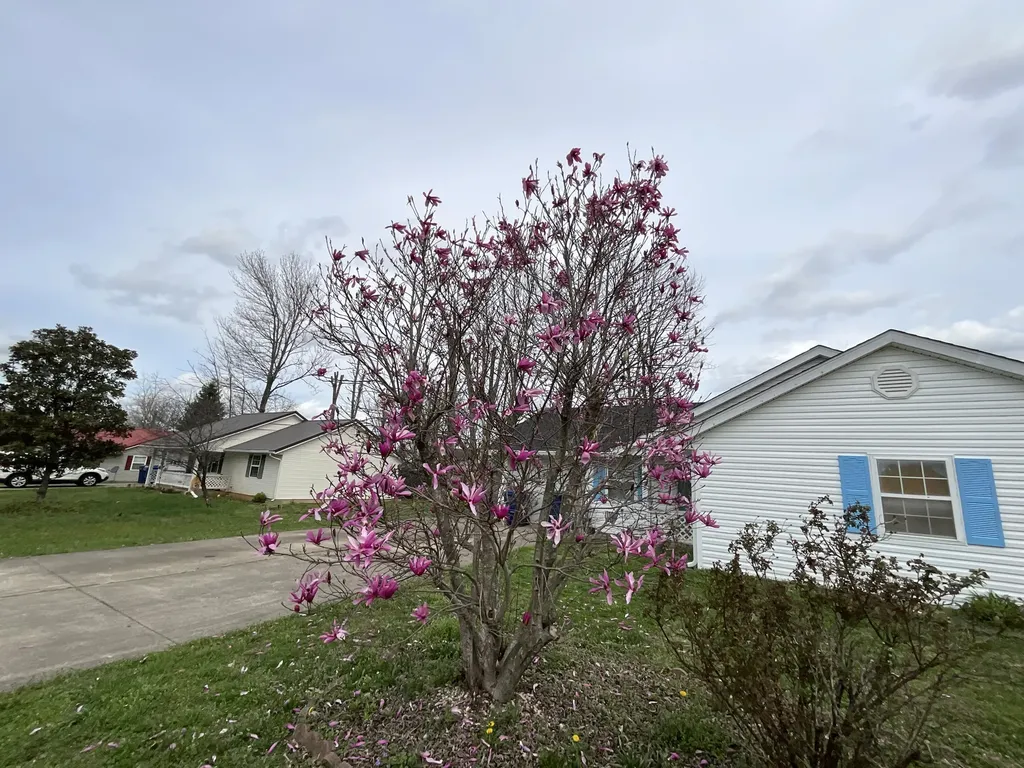 5449 Scenic Vista Drive Somerset KY 42501
