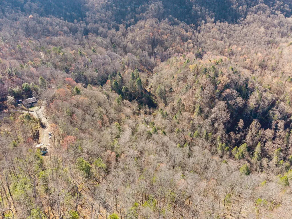 790 Dinah Blair Hollow Road Whitesburg KY 41858