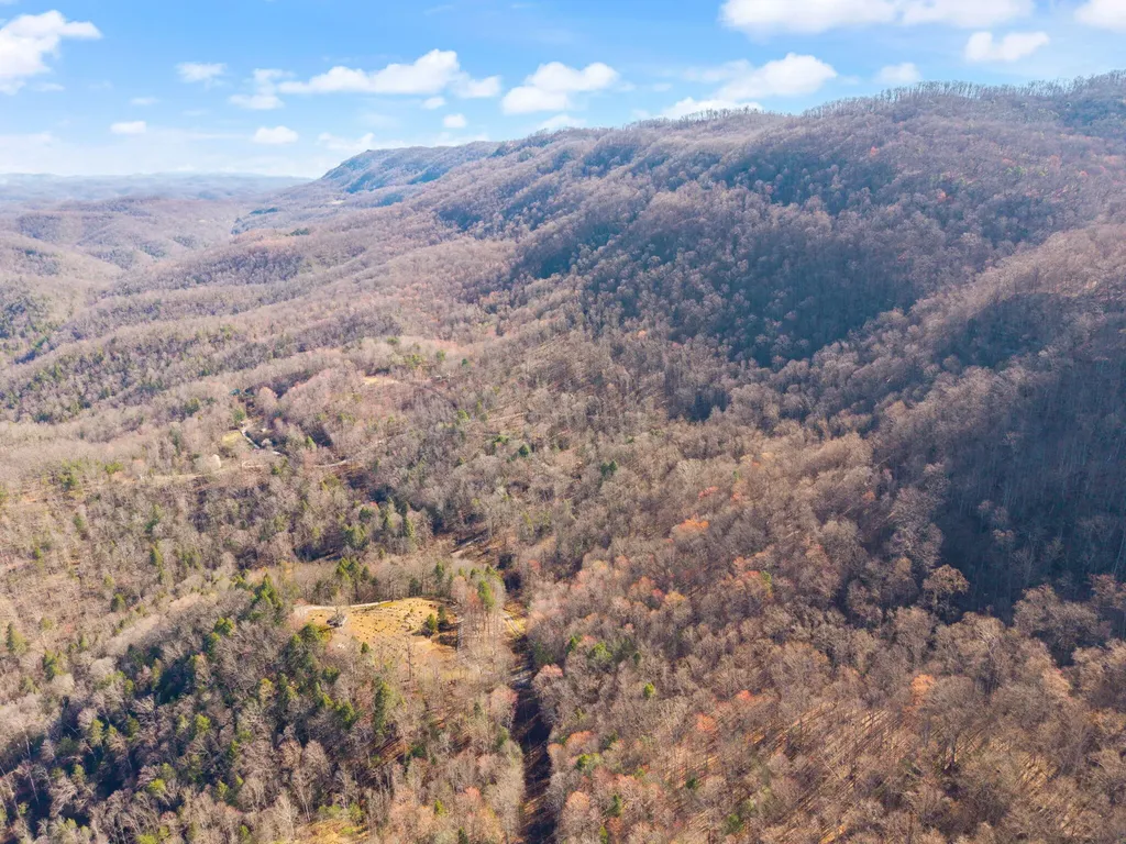 790 Dinah Blair Hollow Road Whitesburg KY 41858