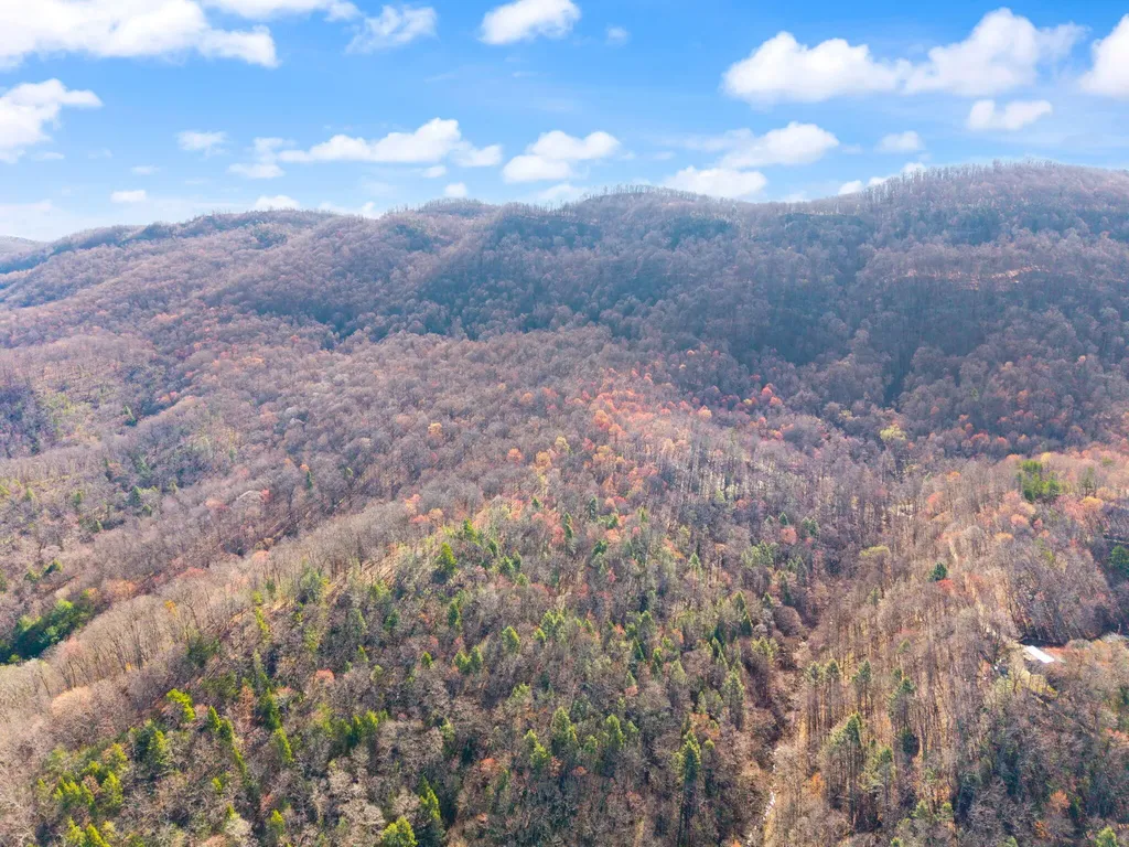790 Dinah Blair Hollow Road Whitesburg KY 41858