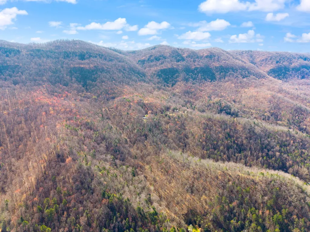 790 Dinah Blair Hollow Road Whitesburg KY 41858
