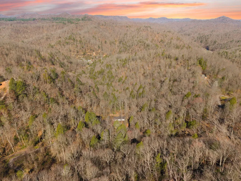 790 Dinah Blair Hollow Road Whitesburg KY 41858