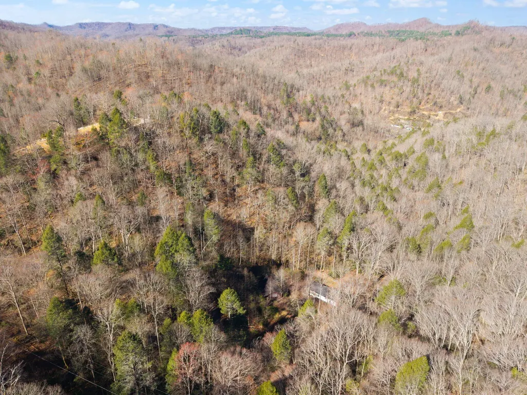790 Dinah Blair Hollow Road Whitesburg KY 41858