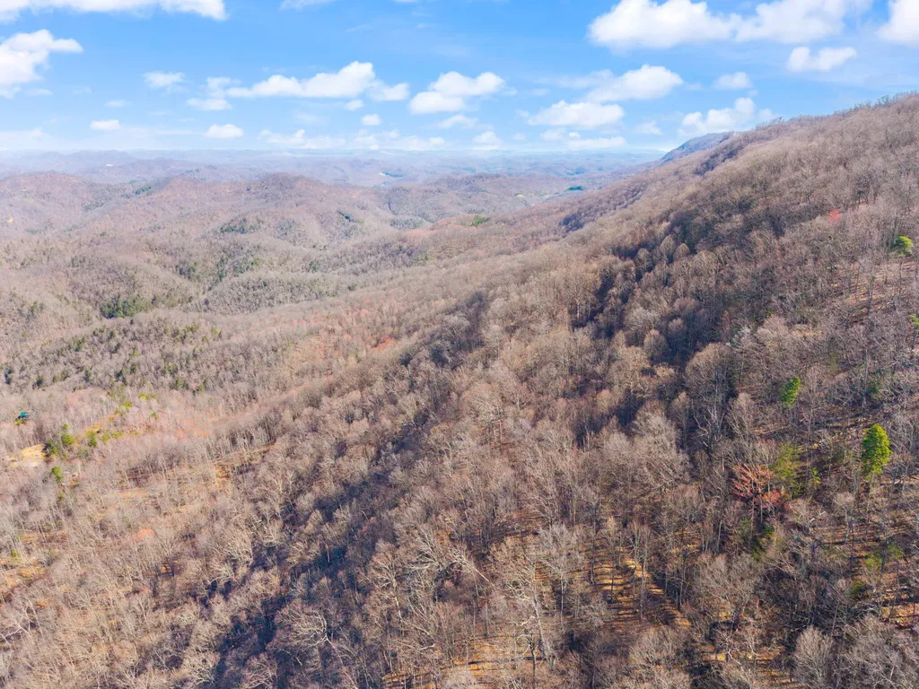 790 Dinah Blair Hollow Road Whitesburg KY 41858