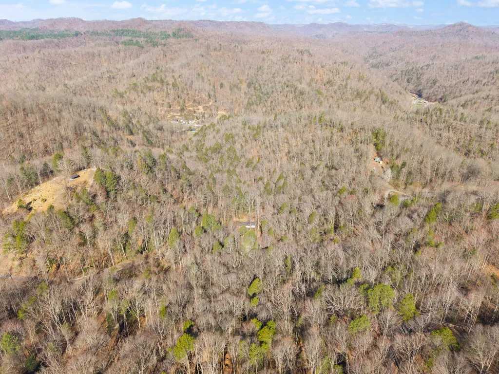 790 Dinah Blair Hollow Road Whitesburg KY 41858