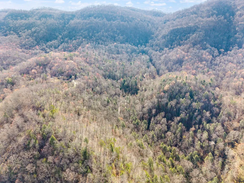 790 Dinah Blair Hollow Road Whitesburg KY 41858