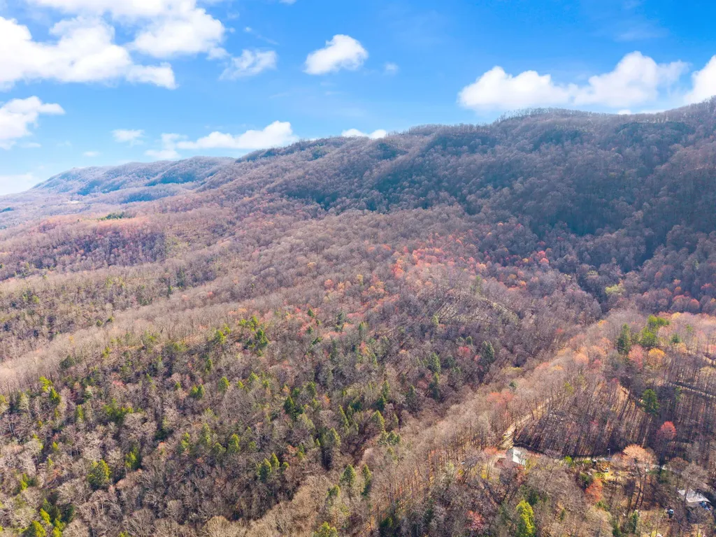 790 Dinah Blair Hollow Road Whitesburg KY 41858