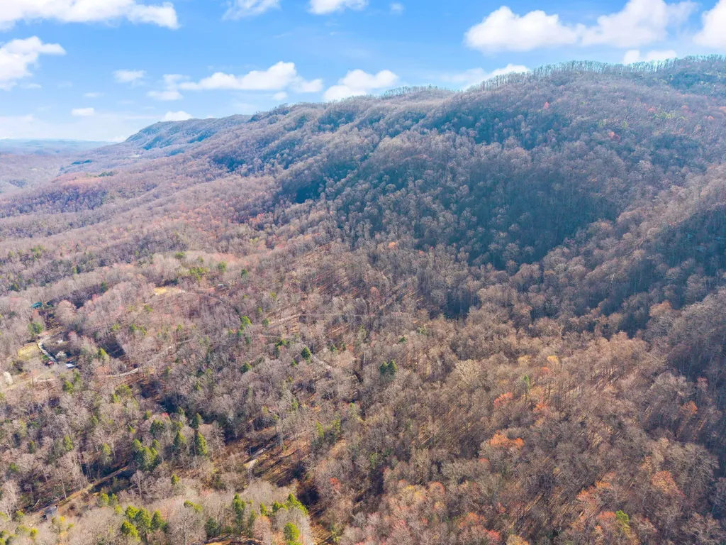 790 Dinah Blair Hollow Road Whitesburg KY 41858