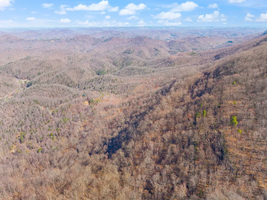 790 Dinah Blair Hollow Road Whitesburg KY 41858