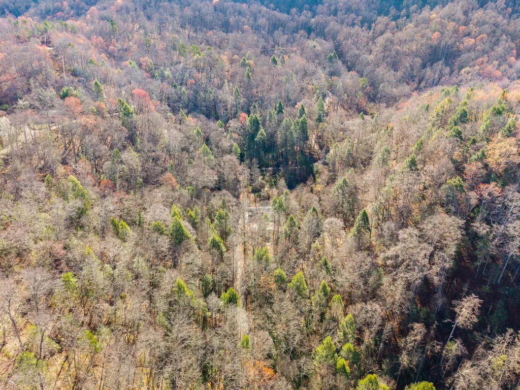 790 Dinah Blair Hollow Road Whitesburg KY 41858