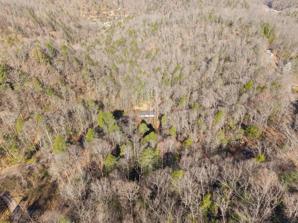 790 Dinah Blair Hollow Road Whitesburg KY 41858