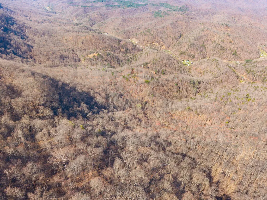 790 Dinah Blair Hollow Road Whitesburg KY 41858
