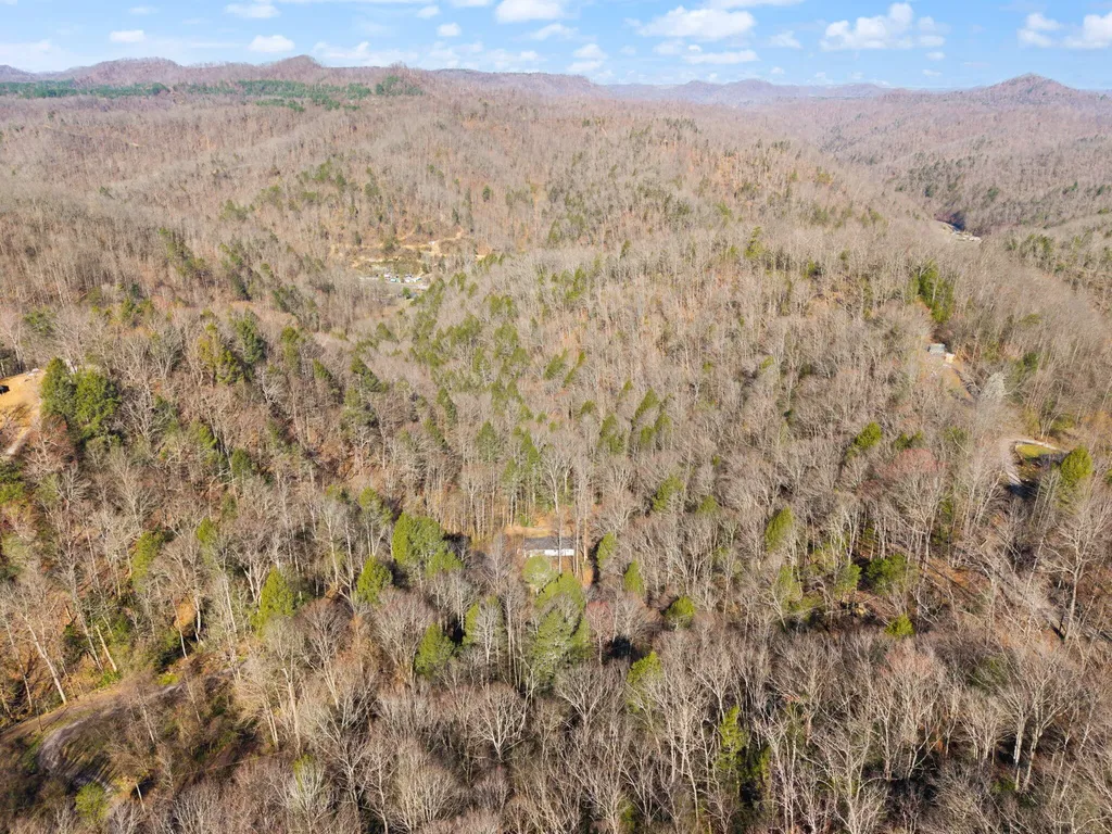 790 Dinah Blair Hollow Road Whitesburg KY 41858