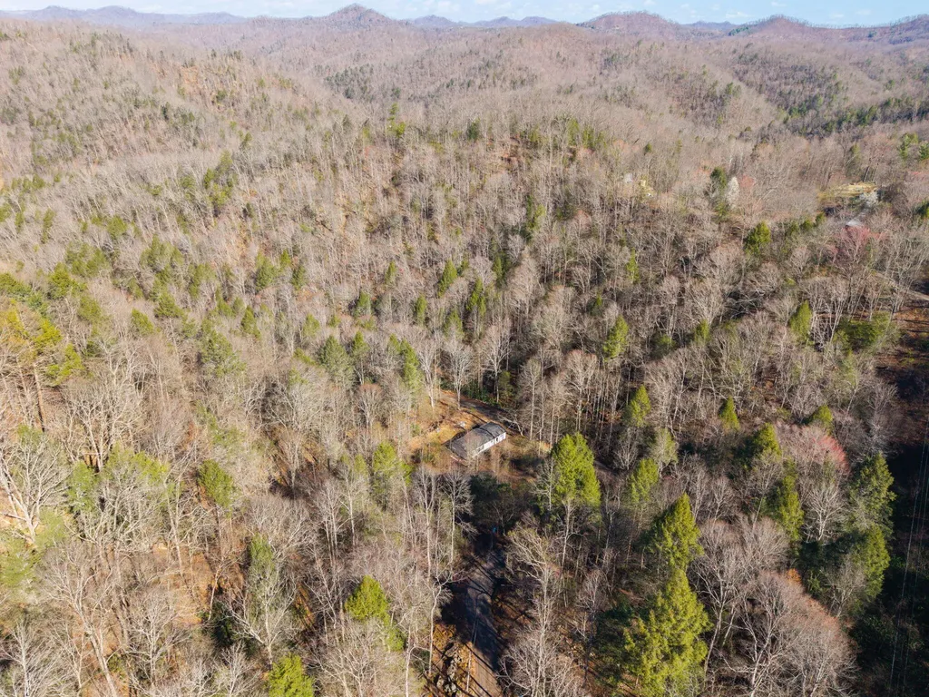 790 Dinah Blair Hollow Road Whitesburg KY 41858