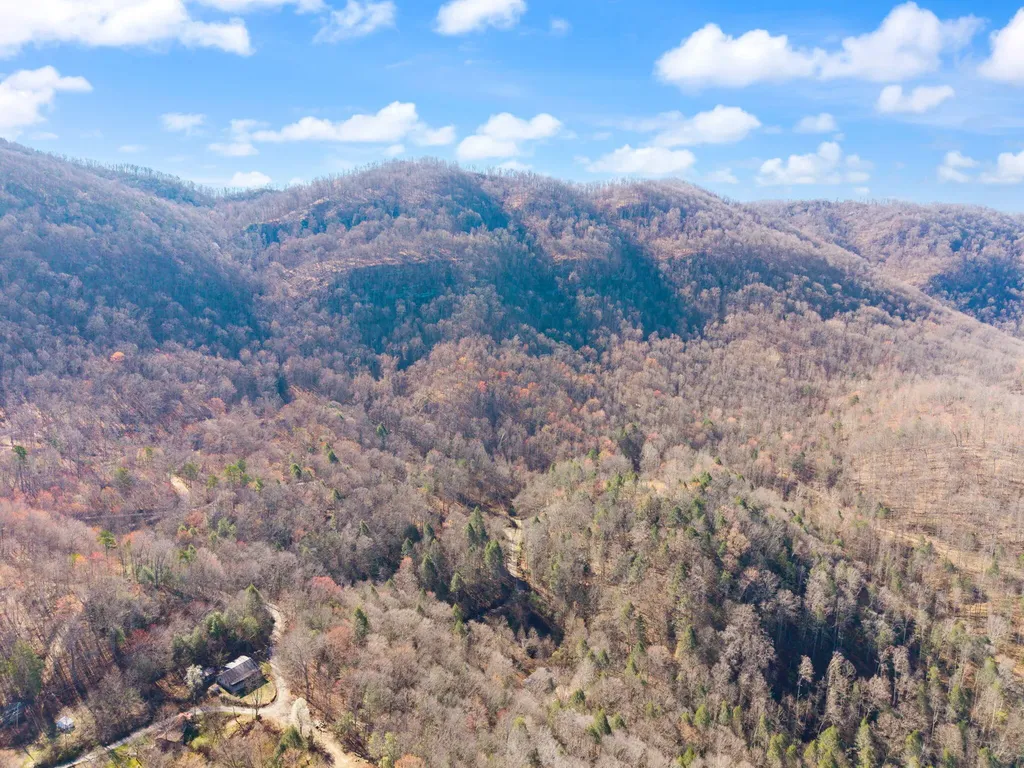790 Dinah Blair Hollow Road Whitesburg KY 41858
