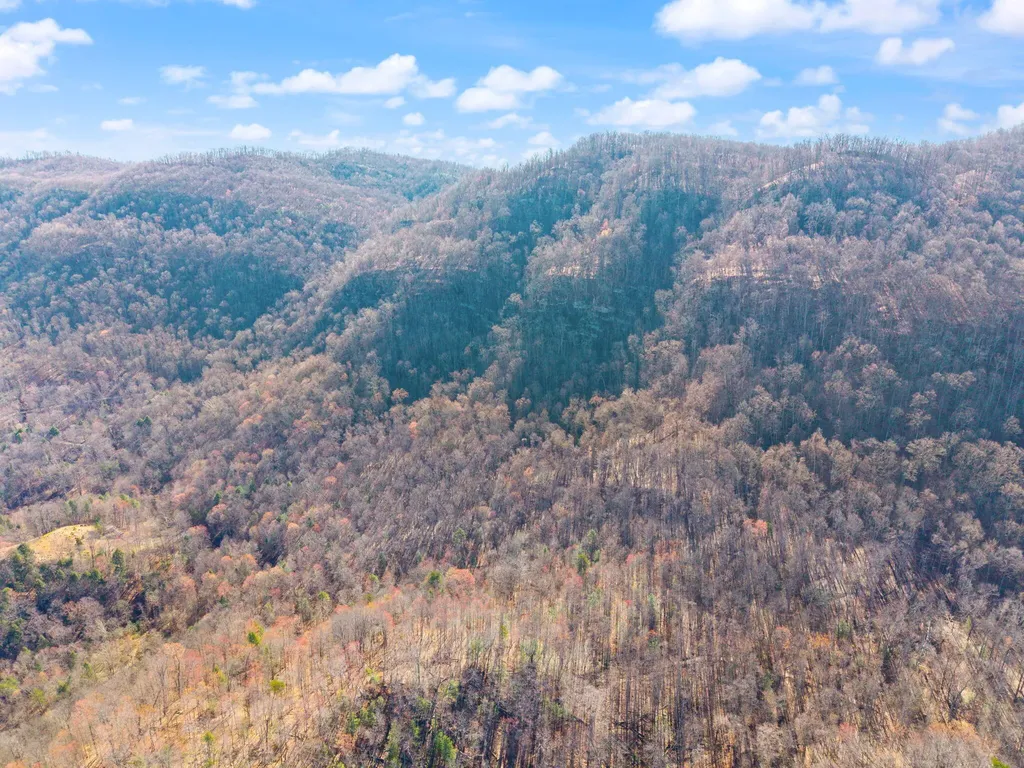 790 Dinah Blair Hollow Road Whitesburg KY 41858