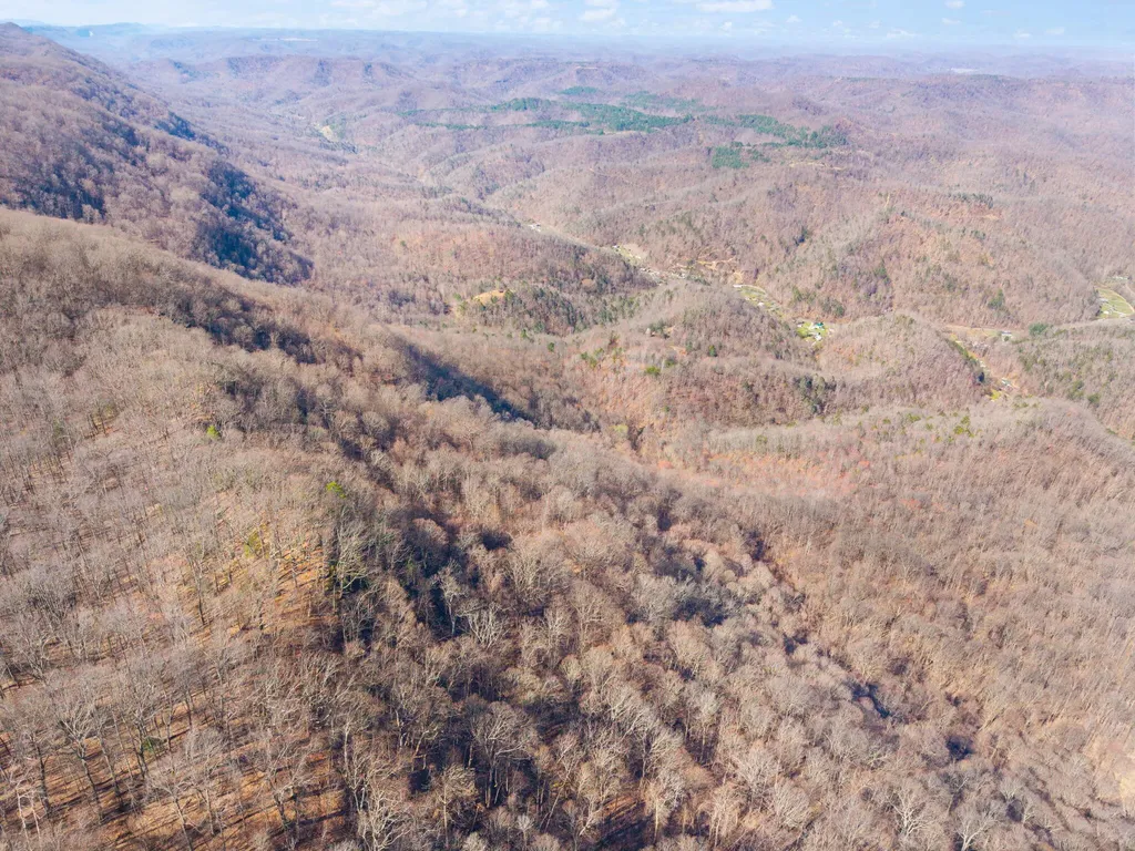 790 Dinah Blair Hollow Road Whitesburg KY 41858