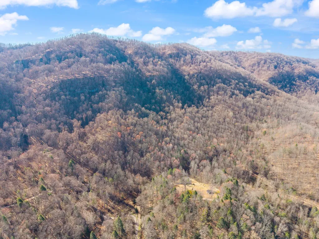 790 Dinah Blair Hollow Road Whitesburg KY 41858