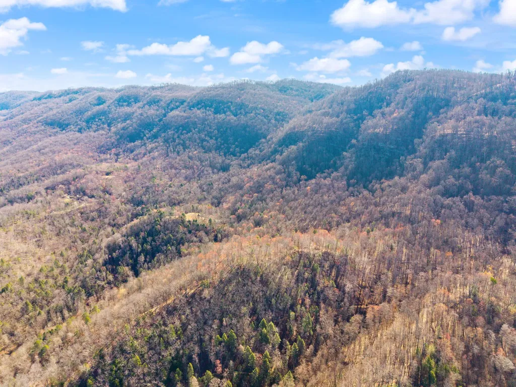 790 Dinah Blair Hollow Road Whitesburg KY 41858