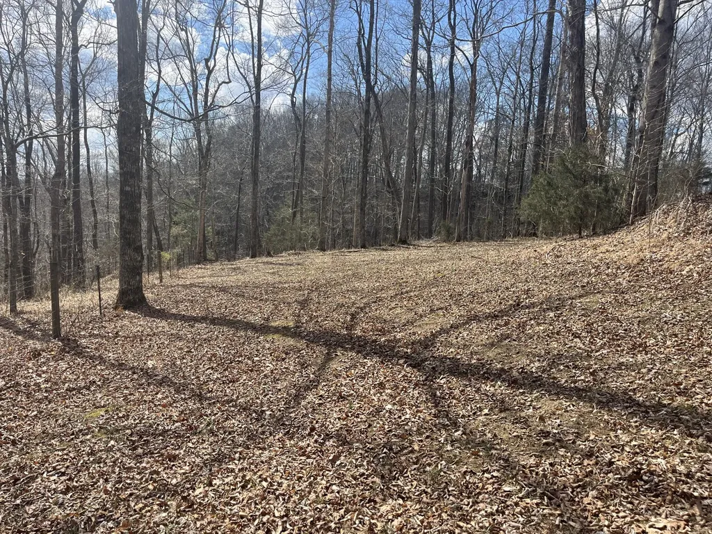 3275 Chance Road Columbia KY 42728
